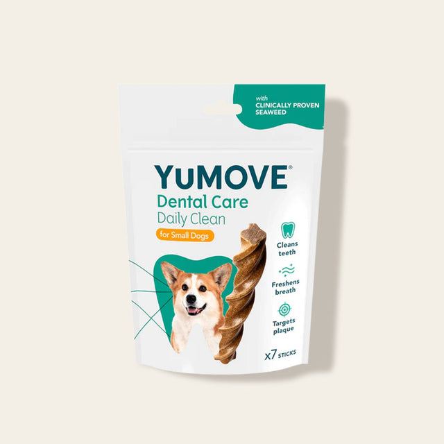 Dental Care Daily Clean Dental Sticks5