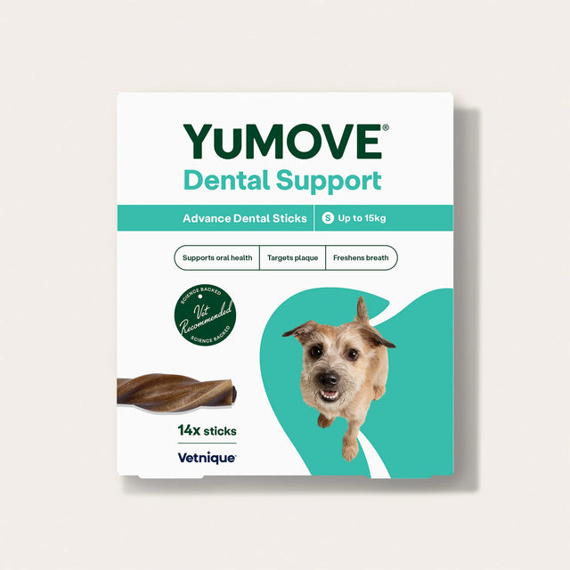 Dental Support Advanced Dental Sticks Dental Sticks2
