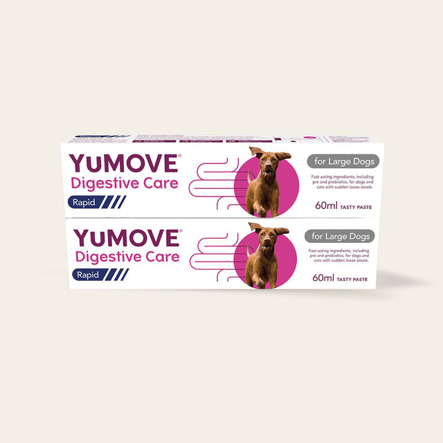 Digestive Care Rapid Digestive Health Large Dog / Double pack11
