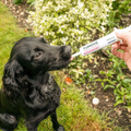 Digestive Support Rapid Paste for Dogs & Cats Digestive Health bullet 2