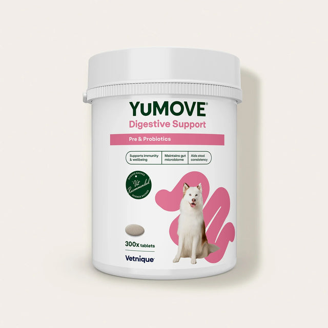 Digestive Care Pre & Probiotic - 300 Tablets Digestive Health 300 Tablets1