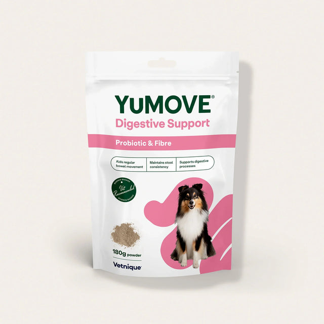 Digestive Care Probiotic & Fibre for Dogs Digestive Health 180g Pouch1