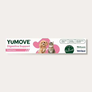 Digestive Care Rapid Digestive Health