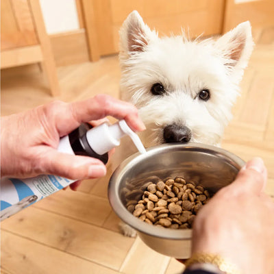 Skin & Coat Support Itching Dog Skin & Coat 2