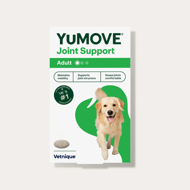 Joint Care for Adult Dogs Joints1