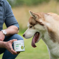 Joint Care Daily Bites for Adult Dogs Joints 150 soft bites bullet 2