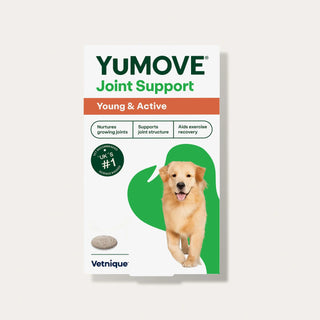 Joint Care for Young Dogs Joints
