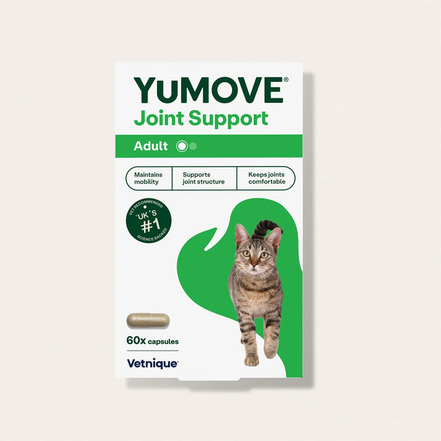 Joint Care for All Cats Joints 60 Capsules1