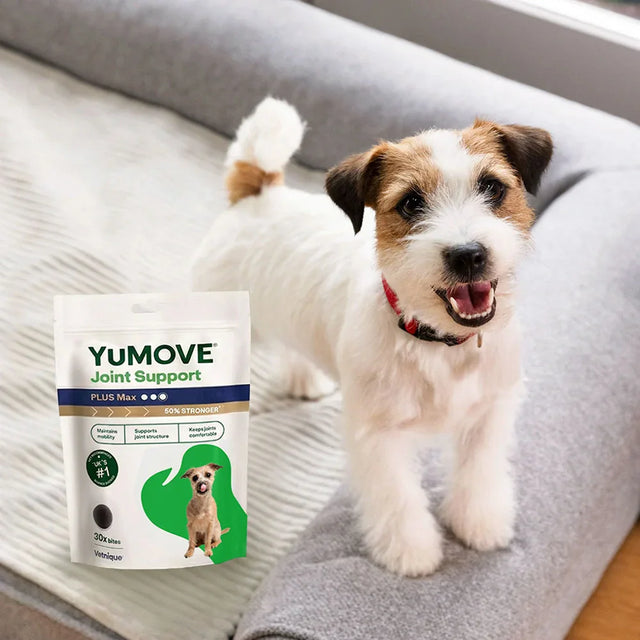 Joint Care PLUS Max Strength Dog Bites Joints2