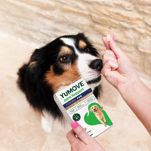 Joint Care PLUS Max Strength for Dogs Joints2