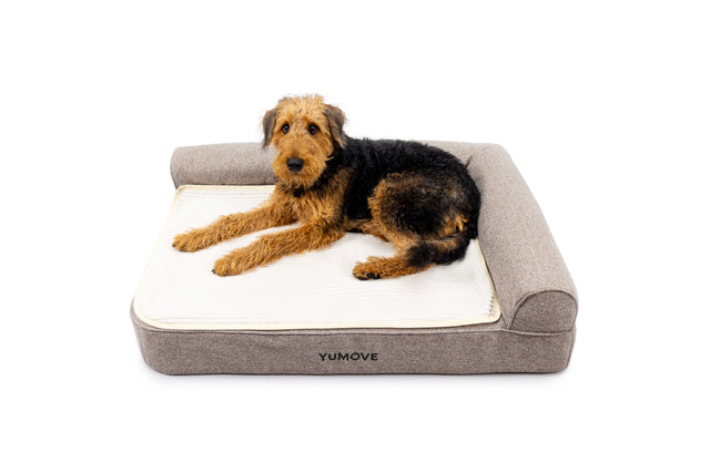 Orthopaedic Pet Bed for Cats & Dogs4