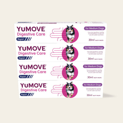 4 Pack Digestive Care Rapid Bundle Medium Dog 2