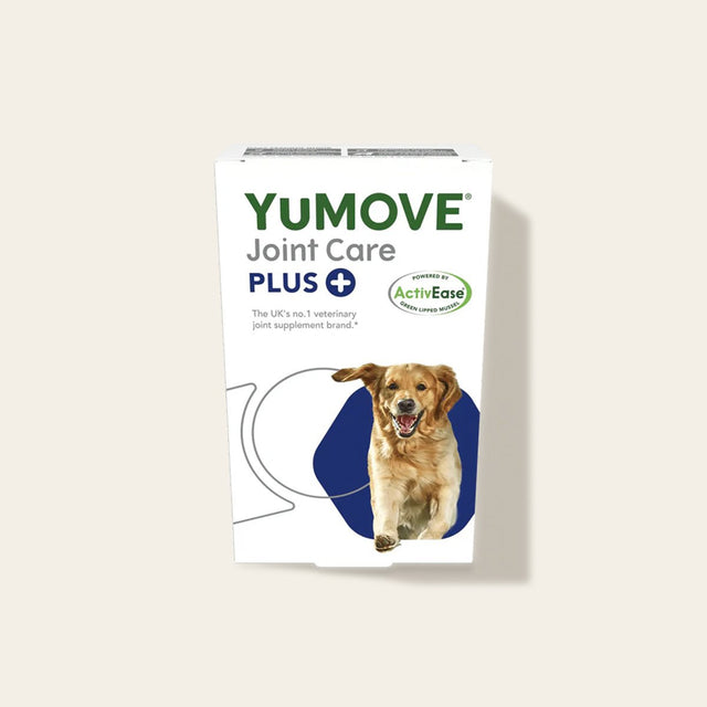 Joint Care PLUS for Dogs Joints1