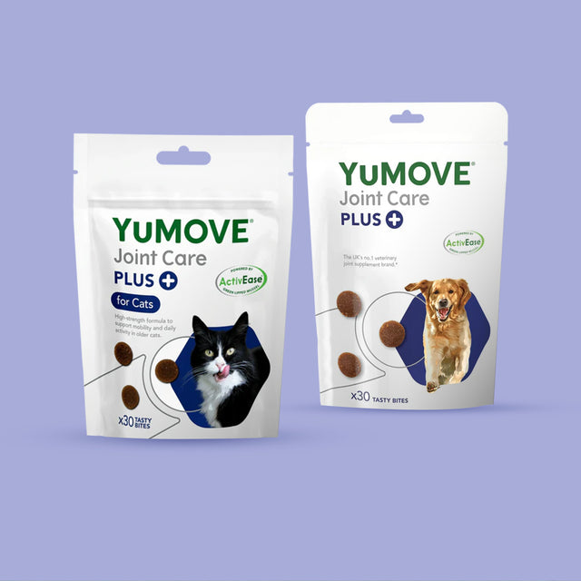 Dog & Cat Bundle Bundle3