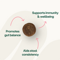 Digestive Support Pre, Pro & Postbiotic Bites Digestive Health bullet 2