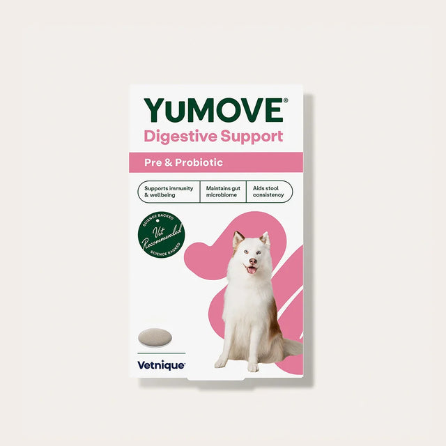 Digestive Support Pre & Probiotic for Dogs Digestive Health1