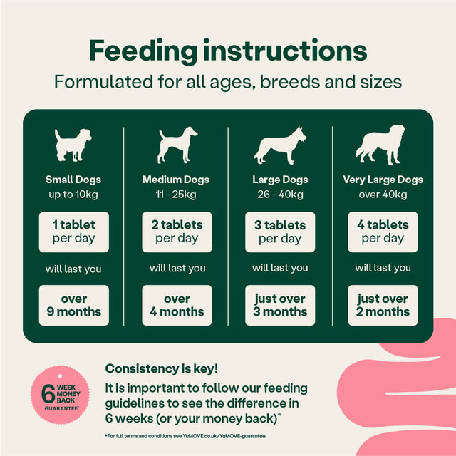 Digestive Care Pre & Probiotic - 300 Tablets Digestive Health 300 Tablets3