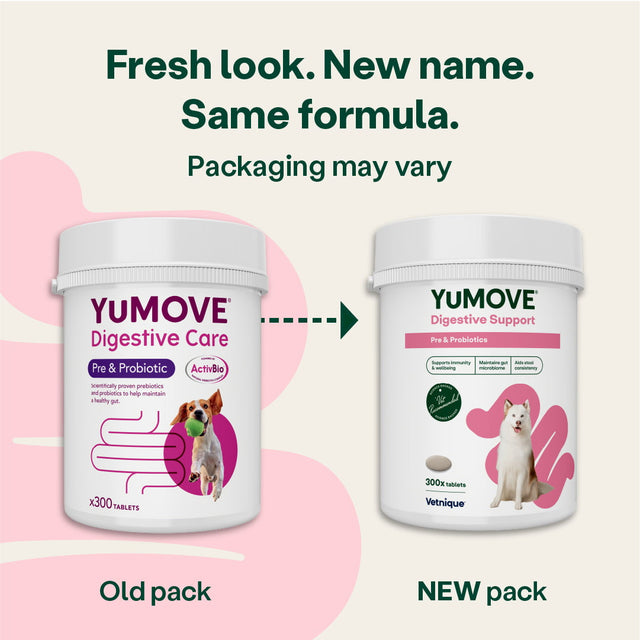 Digestive Care Pre & Probiotic - 300 Tablets Digestive Health 300 Tablets4