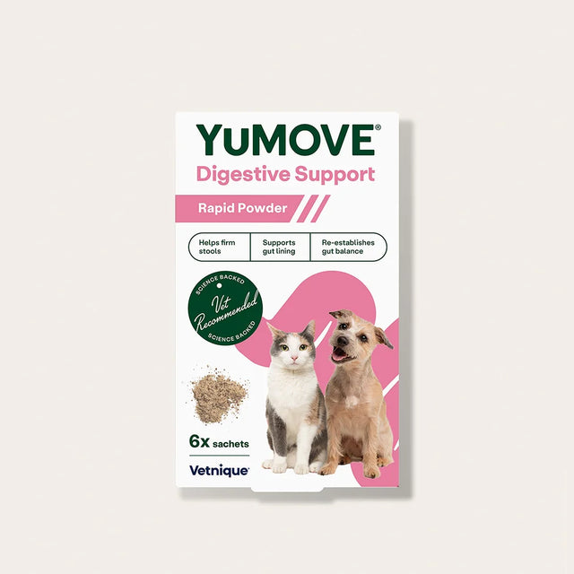 Digestive Support Rapid Powder for Dogs & Cats Digestive Health1