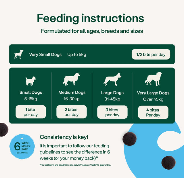 Skin & Coat Care Itch & Immune Daily Bites Skin & Coat2