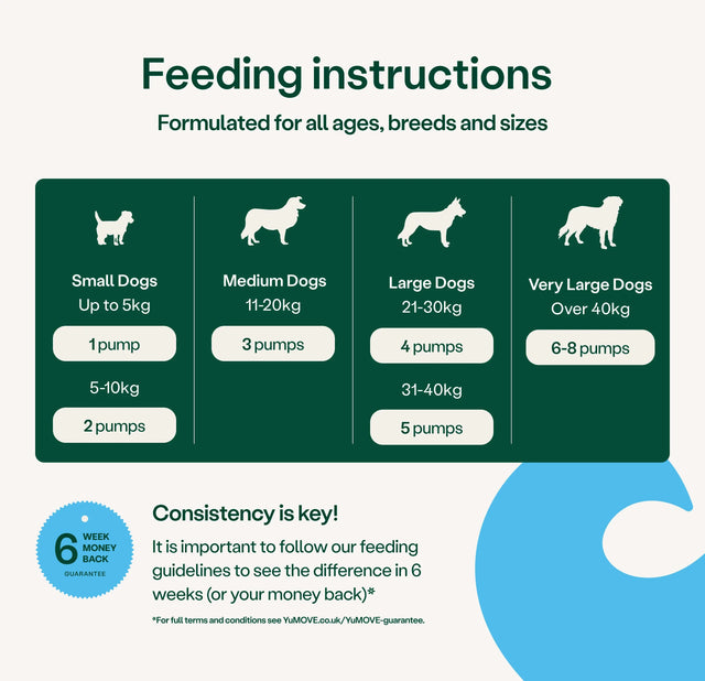 Skin & Coat Care Moulting for Dogs Skin & Coat 500ml2