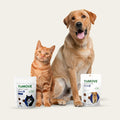Dog & Cat Bundle Bundle bullet 4