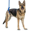 Up-n-Go Rear Support Mobility Aid One Size for pets over 9kg bullet 3