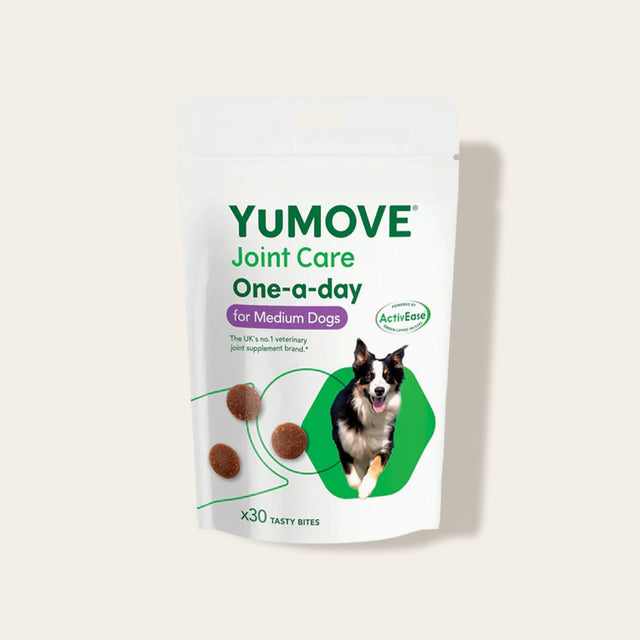 Joint Care One-a-day for Dogs Joints6