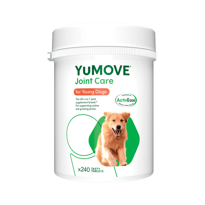 Joint Care for Young Dogs | Bulk Buy 240 Tablets Joints 240 Tablets