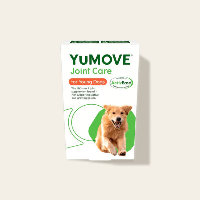 Joint Care for Young Dogs Joints1
