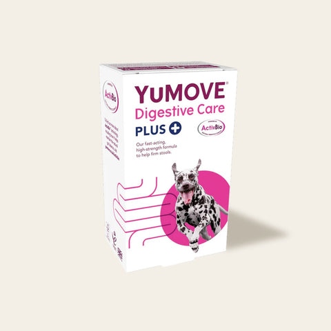 Digestive Care PLUS For Dogs and Cats Digestive Health