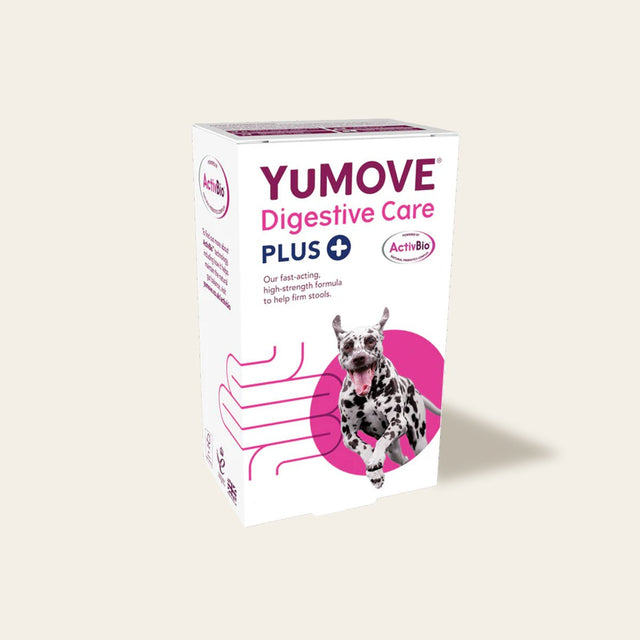 Digestive Care PLUS For Dogs and Cats Digestive Health1