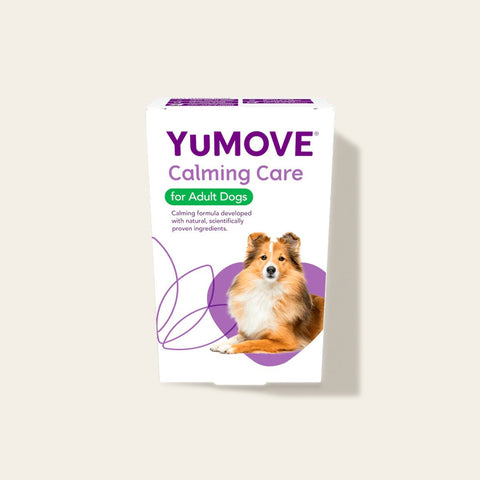 Calming Care for Adult Dogs Calming