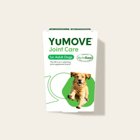 Joint Care for Adult Dogs Joints