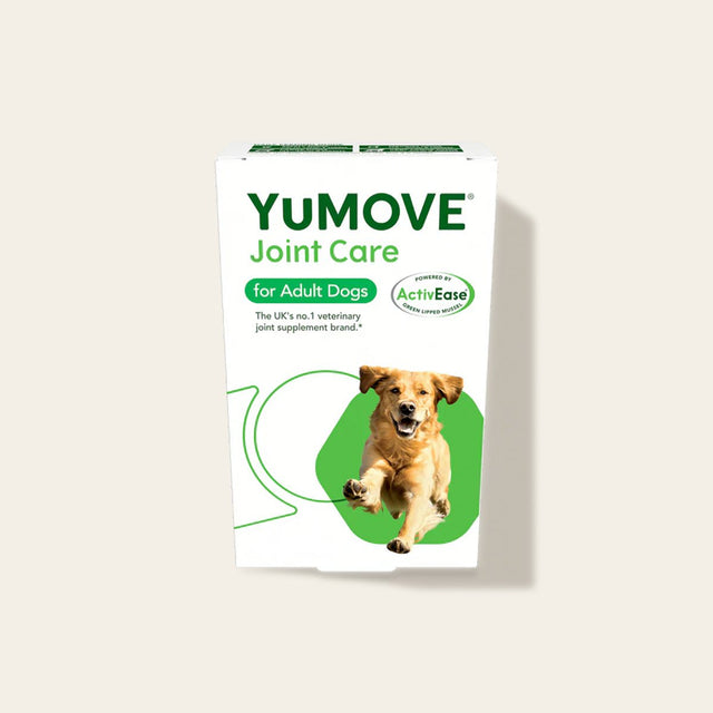 Joint Care for Adult Dogs Joints1