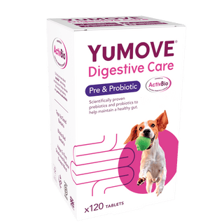 Digestive Care Pre & Probiotic Digestive Health 120 Tablets