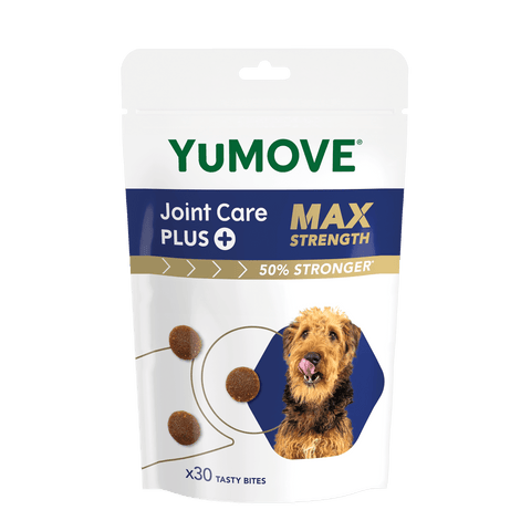 Joint Care PLUS Max Strength Bites Joints