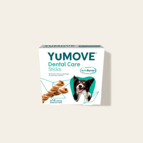 Dental Care Sticks Dental Sticks