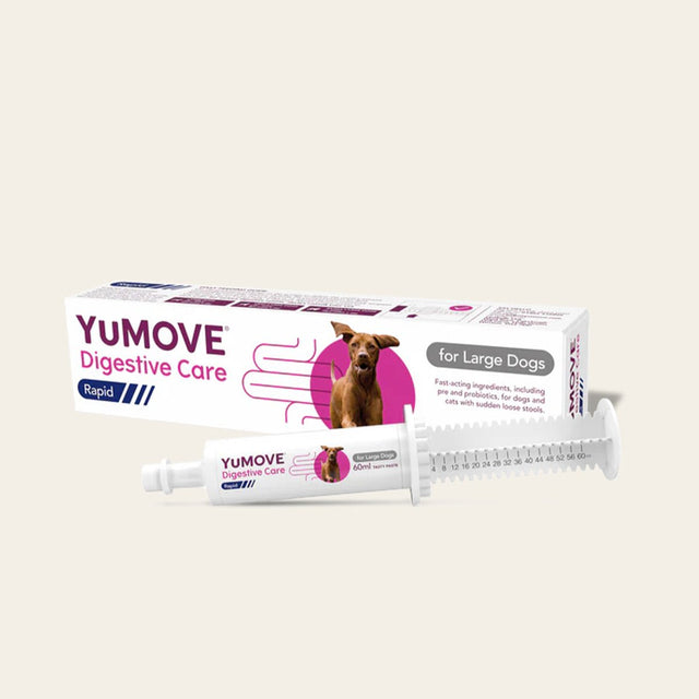Digestive Care Rapid Digestive Health7