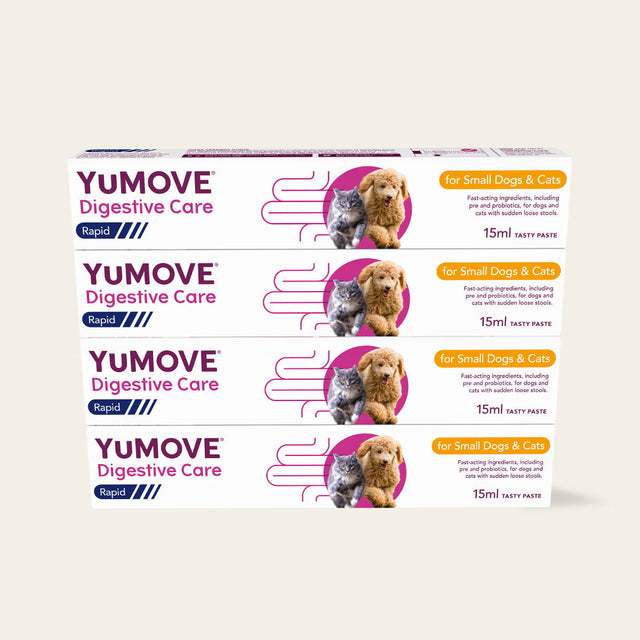 4 Pack Digestive Care Rapid Bundle Small Dog2