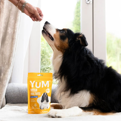 YuM MEGA MultiVits Senior Dogs Vitamins 2