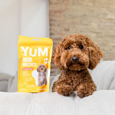 YuM MEGA MultiVits Young Dog Vitamins 2