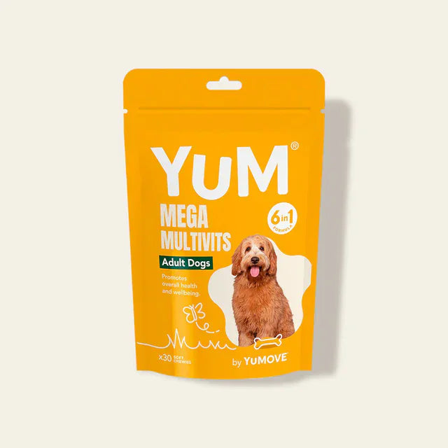 Adult Dog Bundle Lite Bundle3