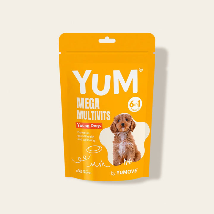 Yellow stand-up pouch of YUM Mega Multivits for young dogs on a light beige background