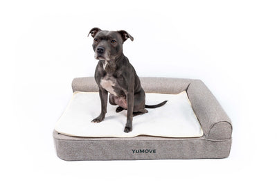 Orthopaedic Pet Bed for Cats & Dogs 2