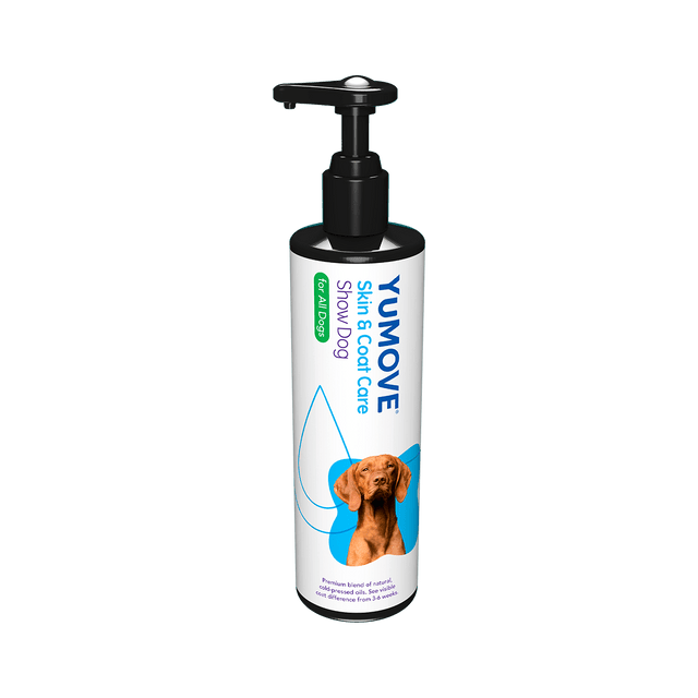 Skin & Coat Care for Show Dogs1