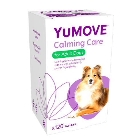 Calming Care for Adult Dogs